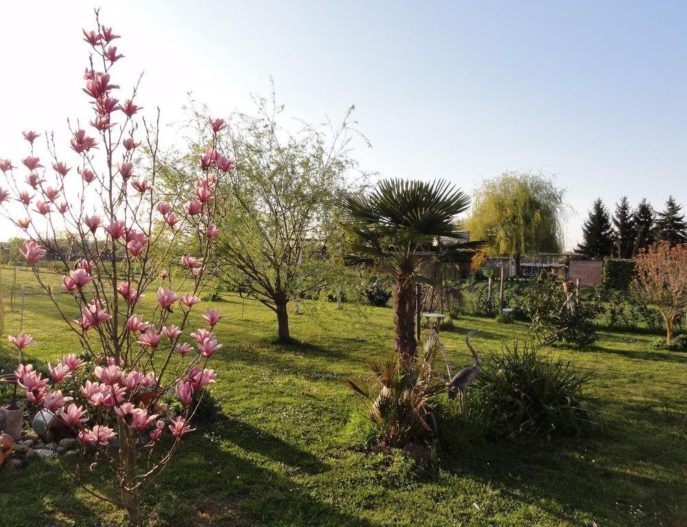 Westend * Kappel-Grafenhausen