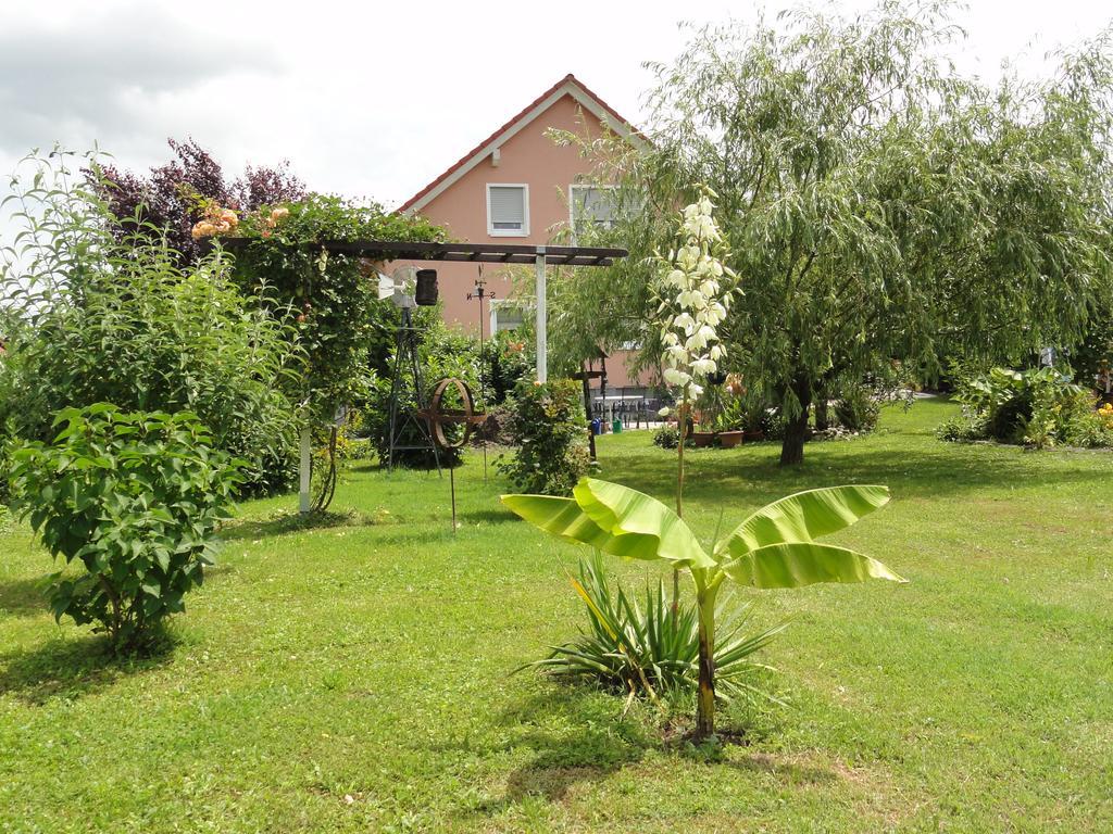 Apartment Westend Kappel-Grafenhausen